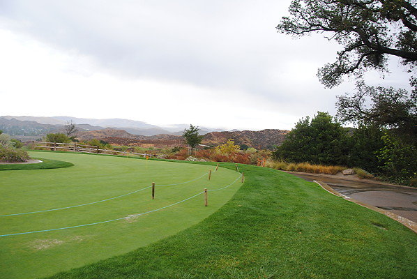 DSC 0178