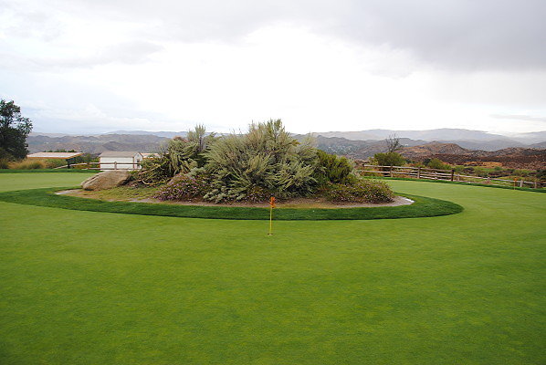 DSC 0180
