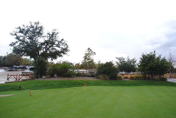 DSC 0184