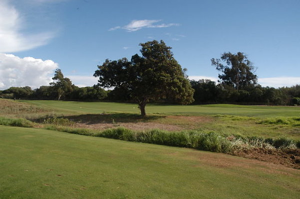 Olivas GC 11 TeeBox.03