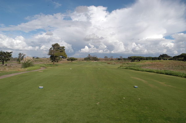Olivas GC 11 TeeBox.04