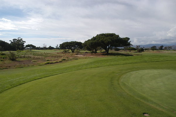 Olivas GC 11 Green.10 Olivas GC 11 Green.10