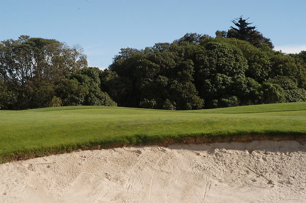 Olivas GC 11 Green.04 Olivas GC 11 Green.04