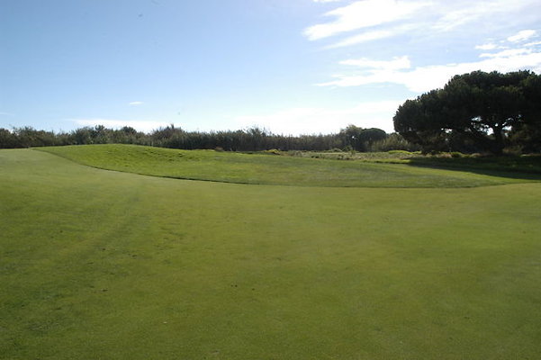 Olivas GC 11 Green.03 Olivas GC 11 Green.03