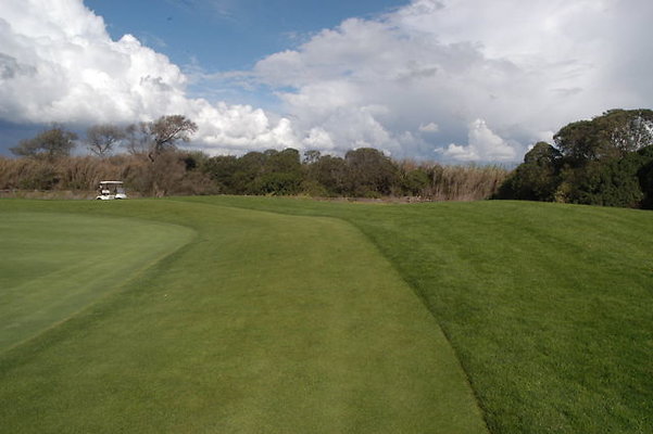 Olivas GC 11 Green.12 Olivas GC 11 Green.12