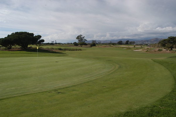 Olivas GC 11 Green.14 Olivas GC 11 Green.14