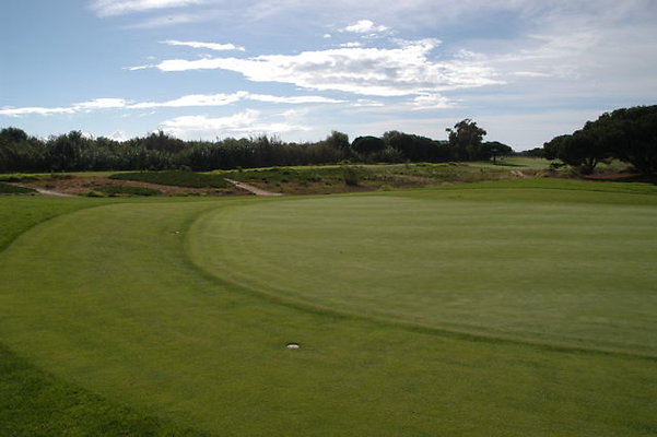 Olivas GC 11 Green.13 Olivas GC 11 Green.13