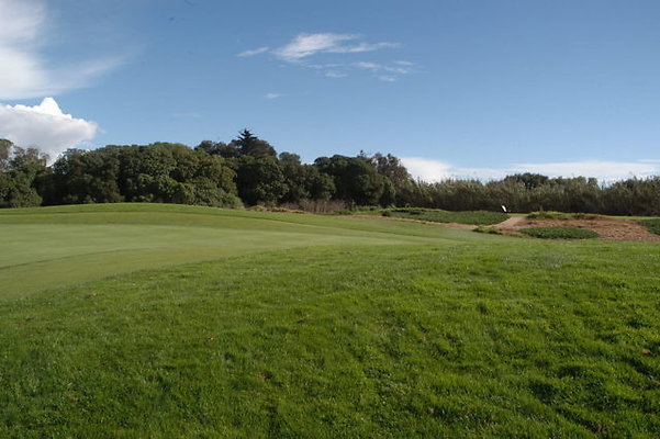 Olivas GC 11 Green.09 Olivas GC 11 Green.09