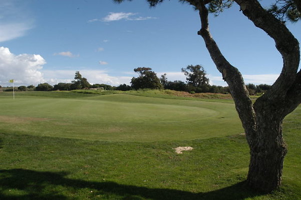 Olivas GC Green.06 Olivas GC Green.06