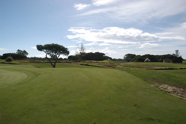 Olivas GC Green.03 Olivas GC Green.03