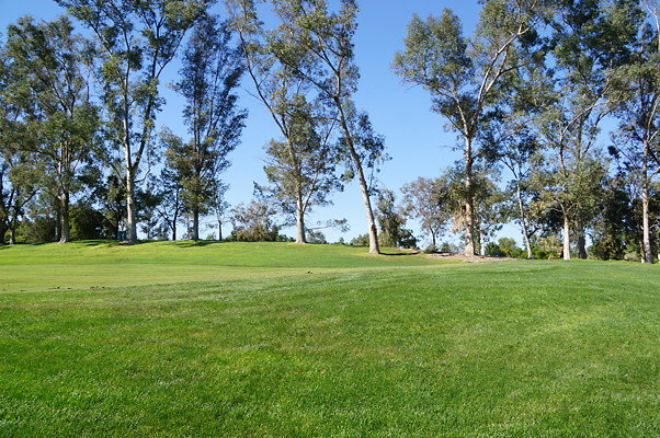 Braemar.US.Open.8.25