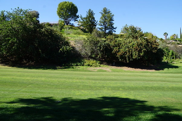 Braemar.US.Open.6.14