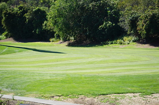 Braemar.US.Open.6.12