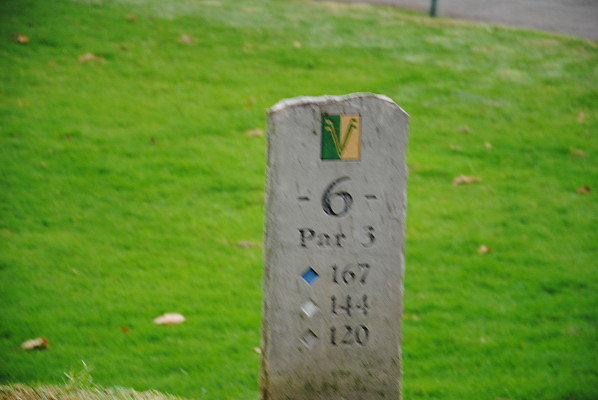 Valencia Vista GC.6th Hole