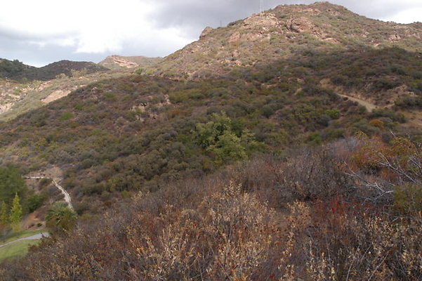 Malibu CC Overview.03