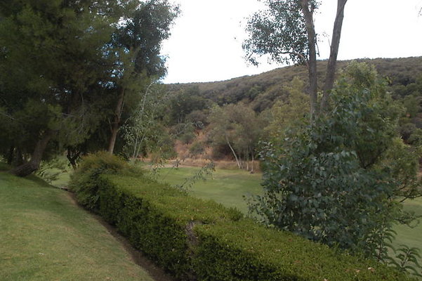 Malibu CC 4 TeeBox.04