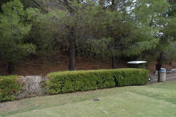 Malibu CC 4 TeeBox.02