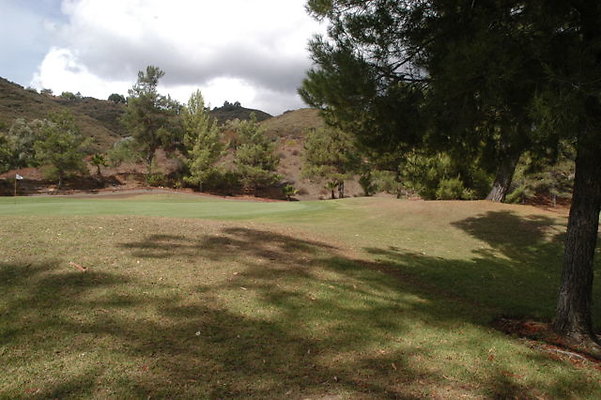 Malibu CC 1 Green.12 Malibu CC 1 Green.12