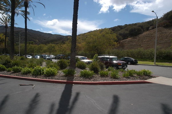 Malibu CC Driveway.27