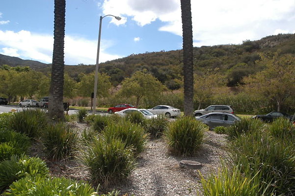 Malibu CC Driveway.30