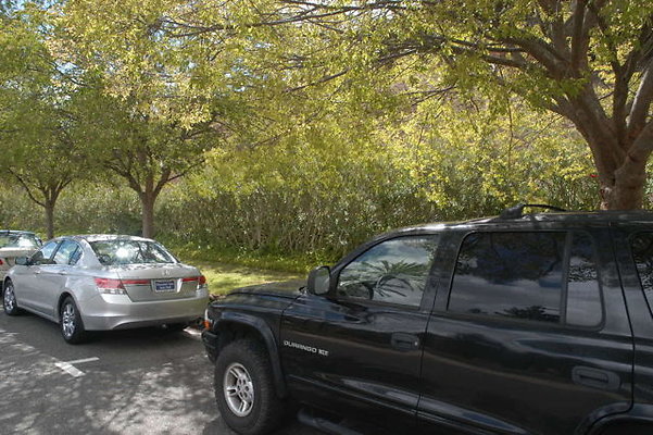 Malibu CC Driveway.21