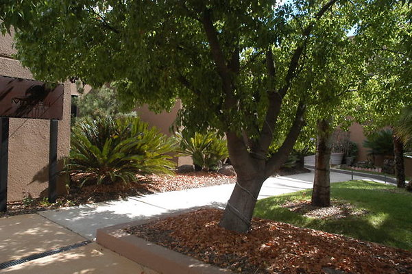 Malibu CC Driveway.39