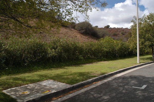 Malibu CC Driveway.13