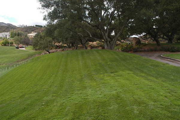 Sherwood CC 18 Green.03