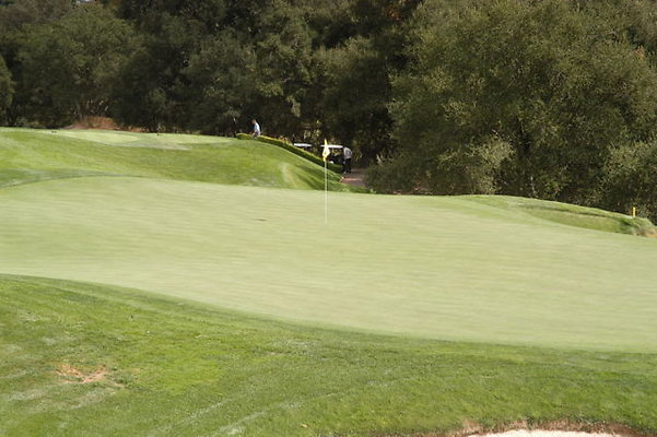 Sherwood CC 18 Green.12