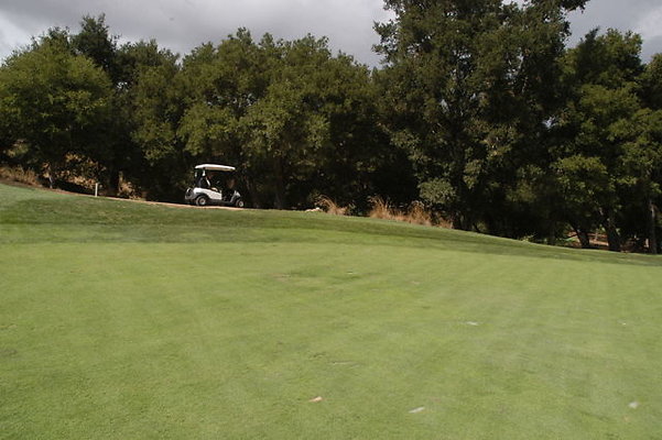 Sherwood CC 18 Fairway.10