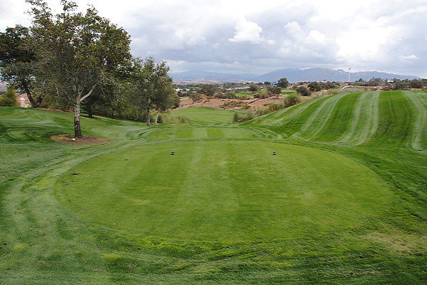 DSC 0181