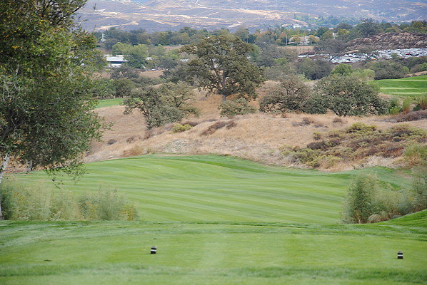 DSC 0177