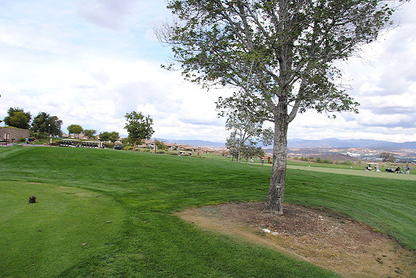 DSC 0180