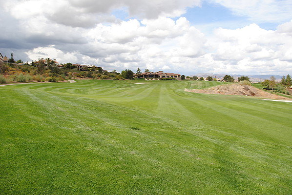 DSC 0251