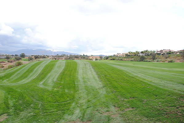 DSC 0184