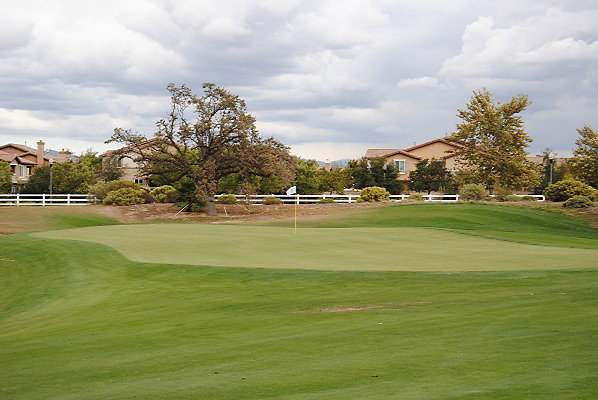 DSC 0460