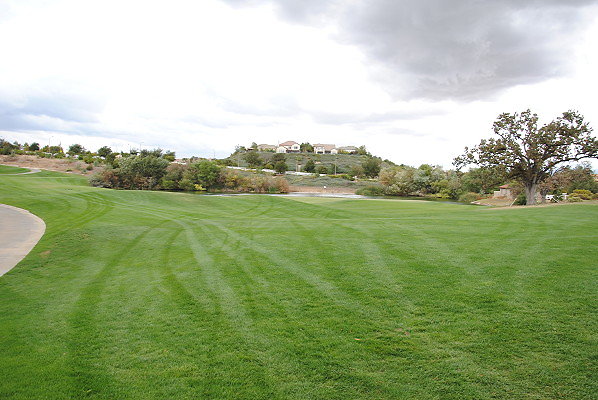 DSC 0412