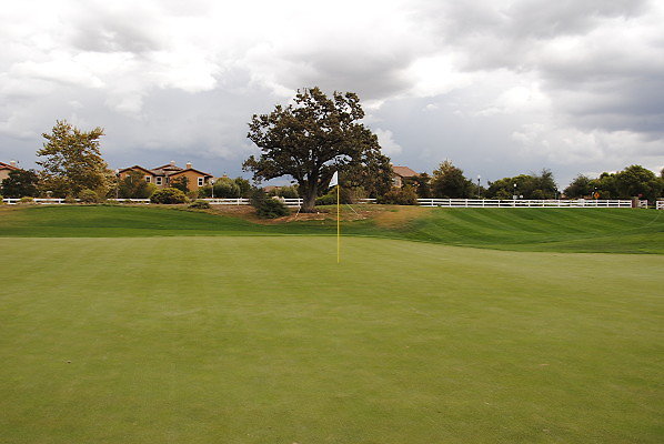 DSC 0440