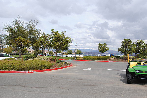 DSC 0020