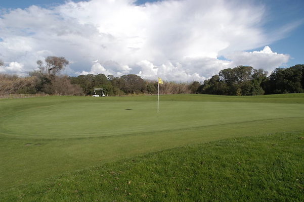 Olivas GC 11 Green.08