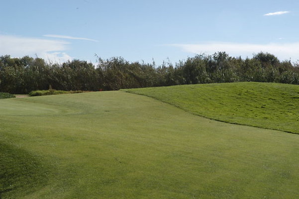 Olivas GC 11 Green.06