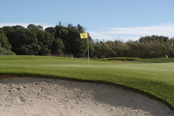 11 Green