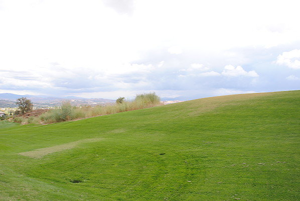 DSC 0356