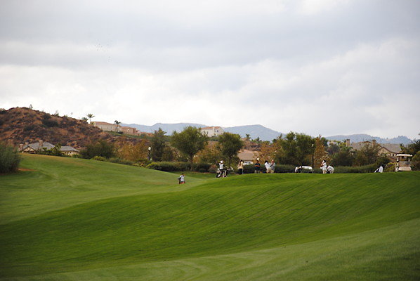DSC 0409