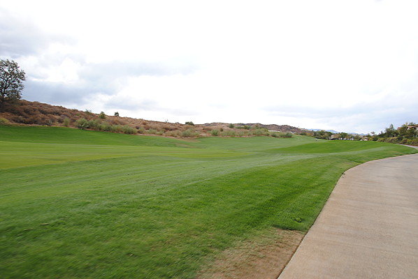DSC 0408