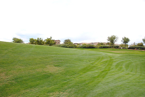 DSC 0358