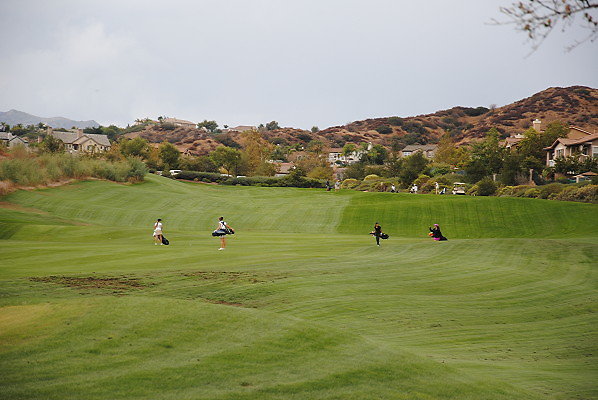 DSC 0388