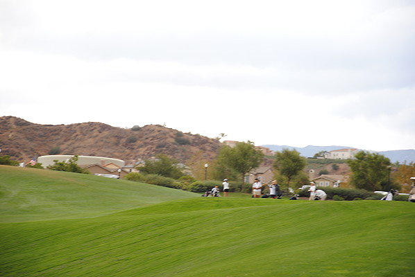DSC 0410