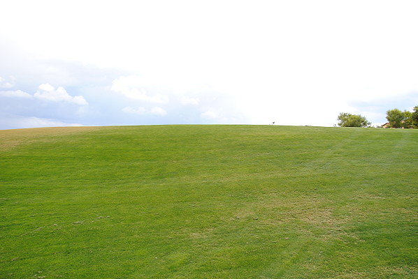 DSC 0357