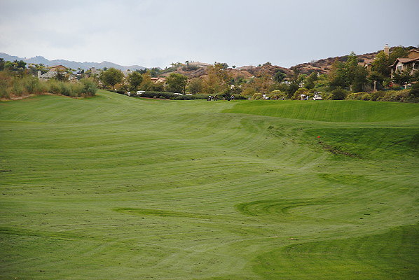 DSC 0403